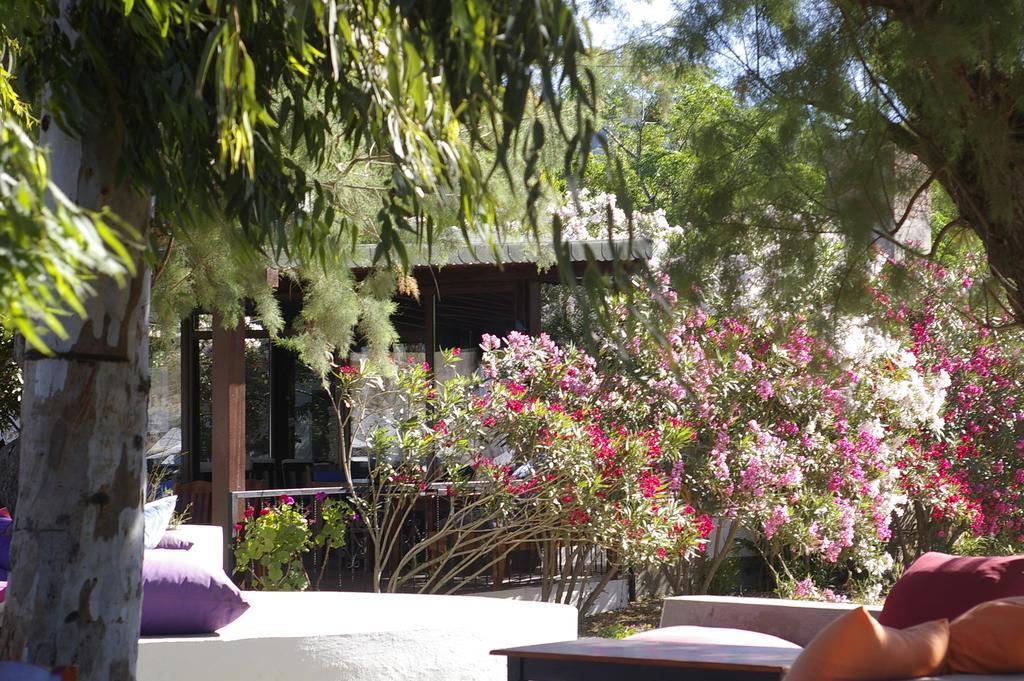 Arriba Pension&Restaurant Gümüşlük Exterior foto