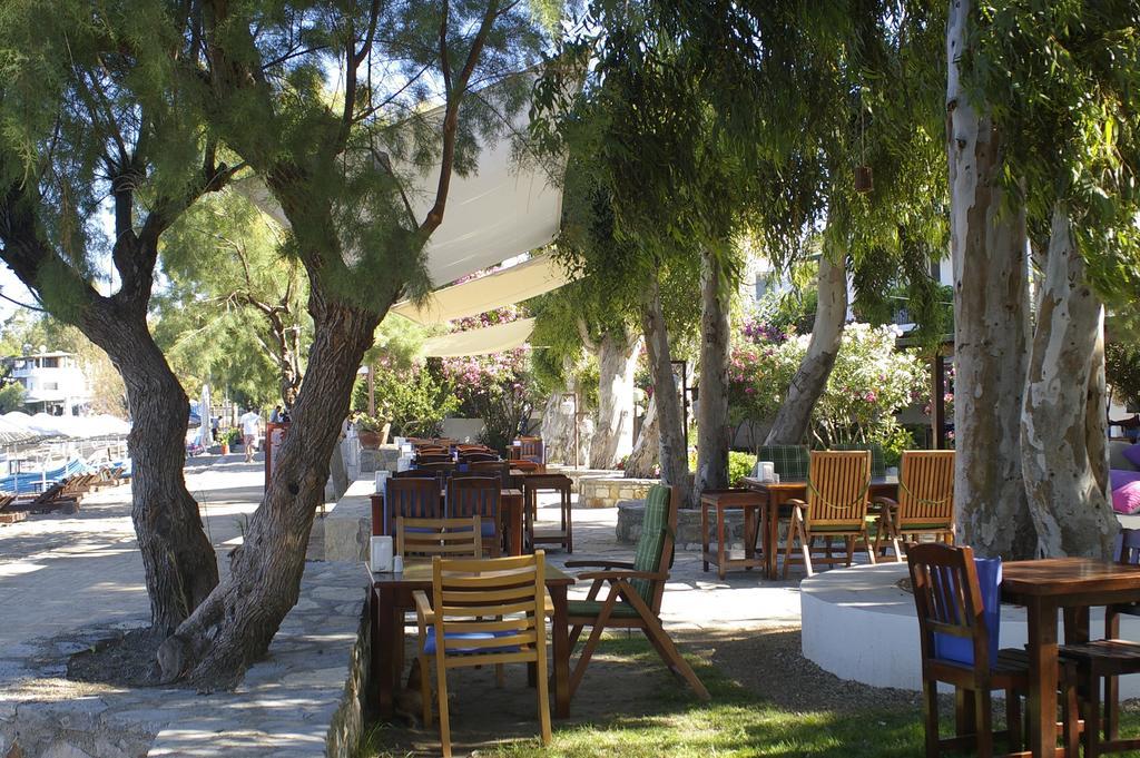 Arriba Pension&Restaurant Gümüşlük Exterior foto