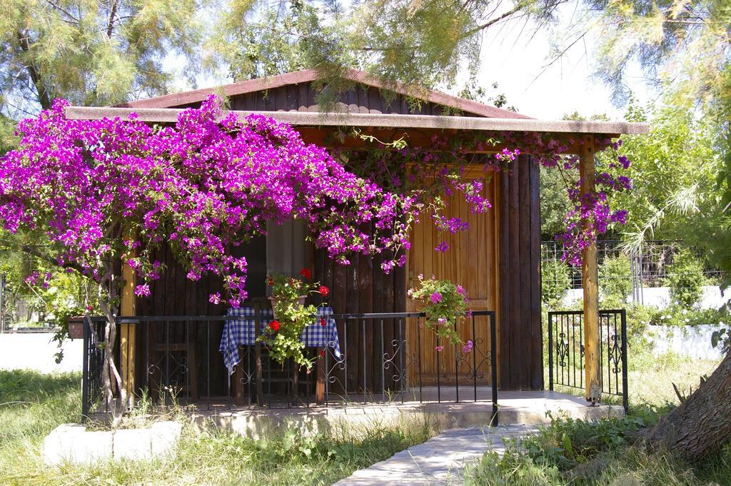 Arriba Pension&Restaurant Gümüşlük Exterior foto